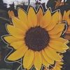 flowerthrifting